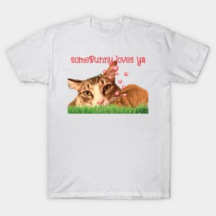 Some Bunny loves you Maine Coon cat T-Shirt